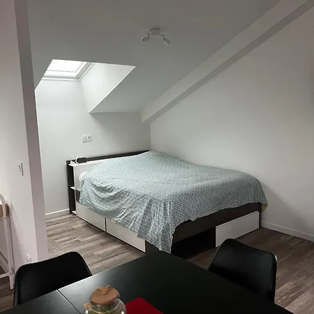 Loft 公寓 Gugnecourt